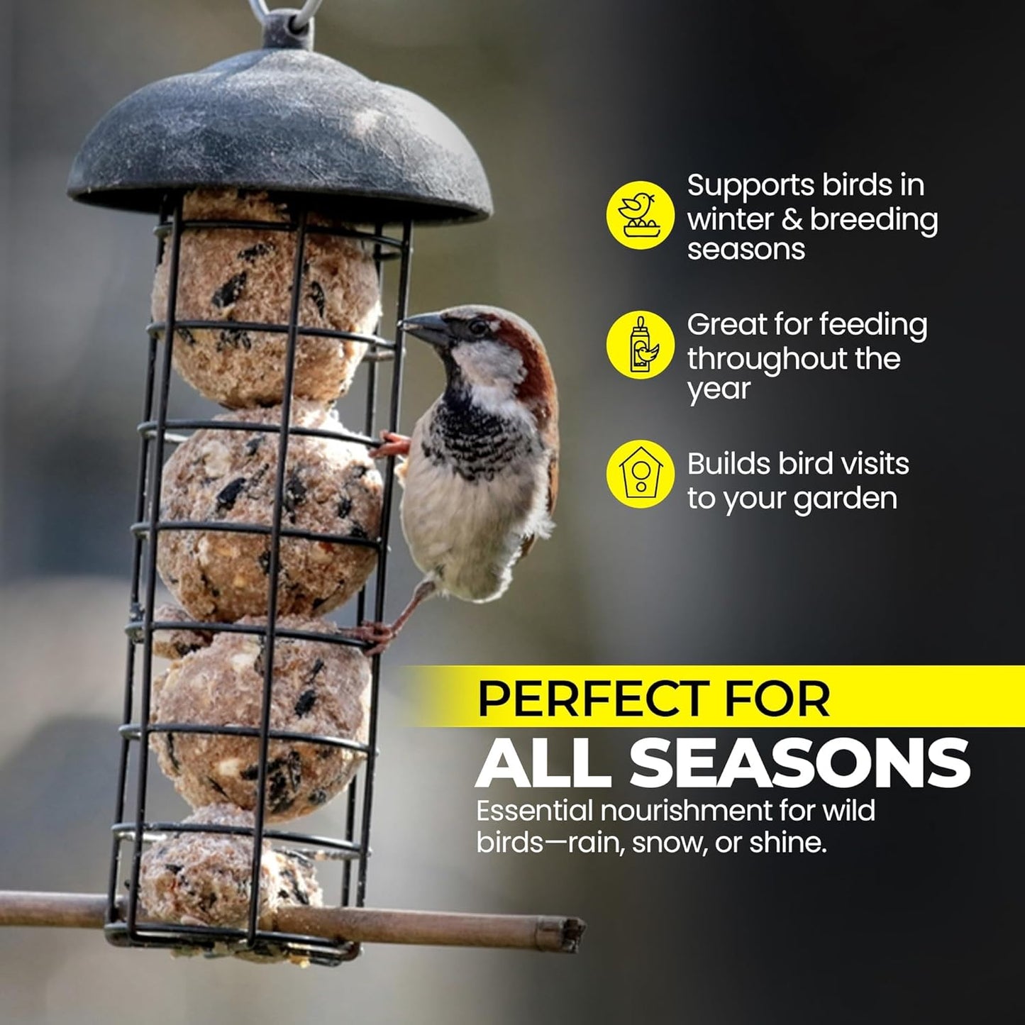 Direct Deals 123 High-Energy Fat Balls for Wild Birds
