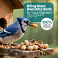 10KG BAG Direct Deals 123 High-Energy Peanuts In Shell For Wild Birds