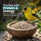 Direct Deals 123 High-Energy Sunflower Hearts for Wild Birds