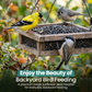 10KG BAG Direct Deals 123 High-Energy Black Sunflower Seeds for Wild Birds