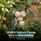 1KG Fat Balls for Wild Birds Food
