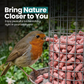 1L BAG High-Energy Berry Mix Suets for Wild Birds