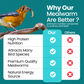 Direct Deals 123 High-Energy Meal Worms for Wild Birds