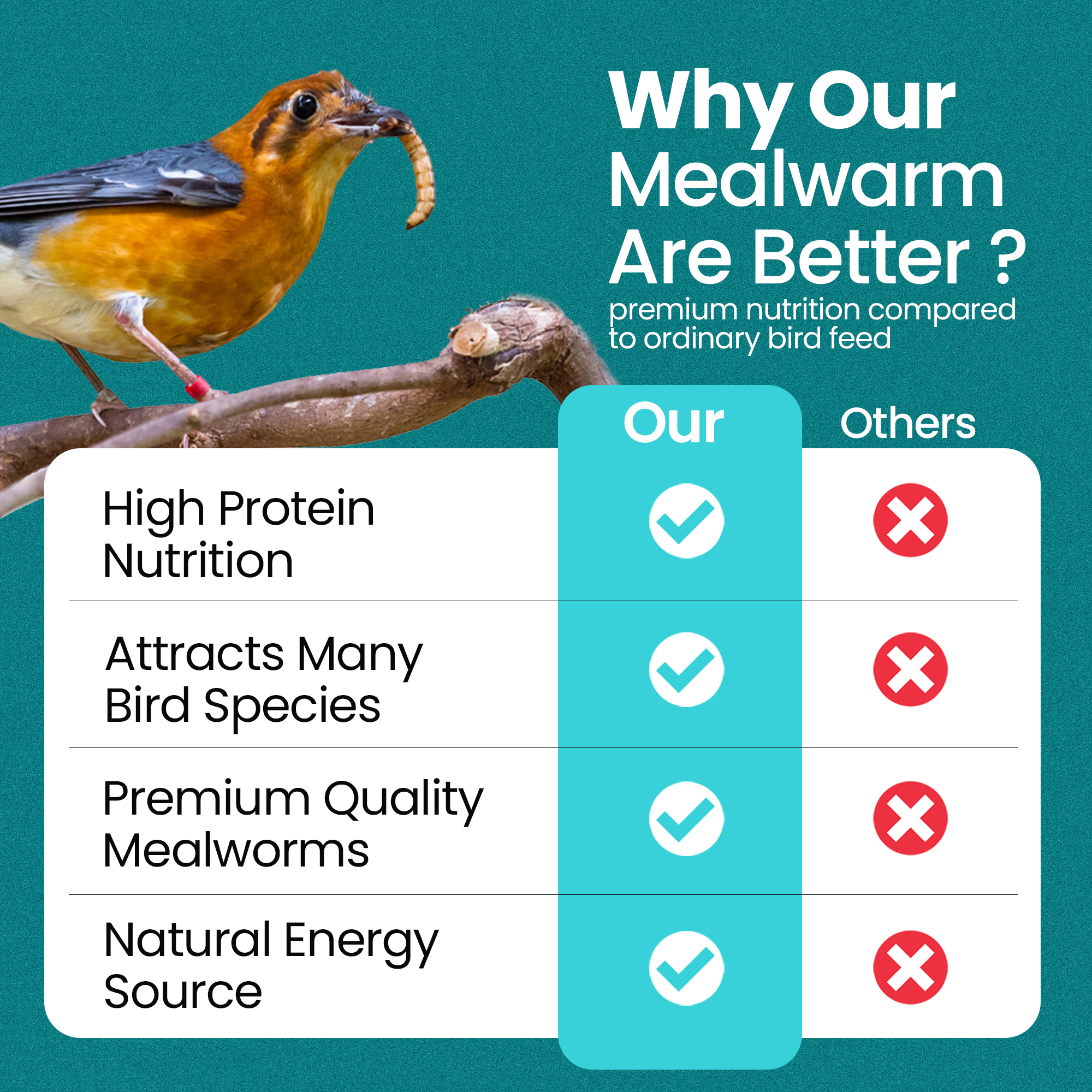 Direct Deals 123 High-Energy Meal Worms for Wild Birds