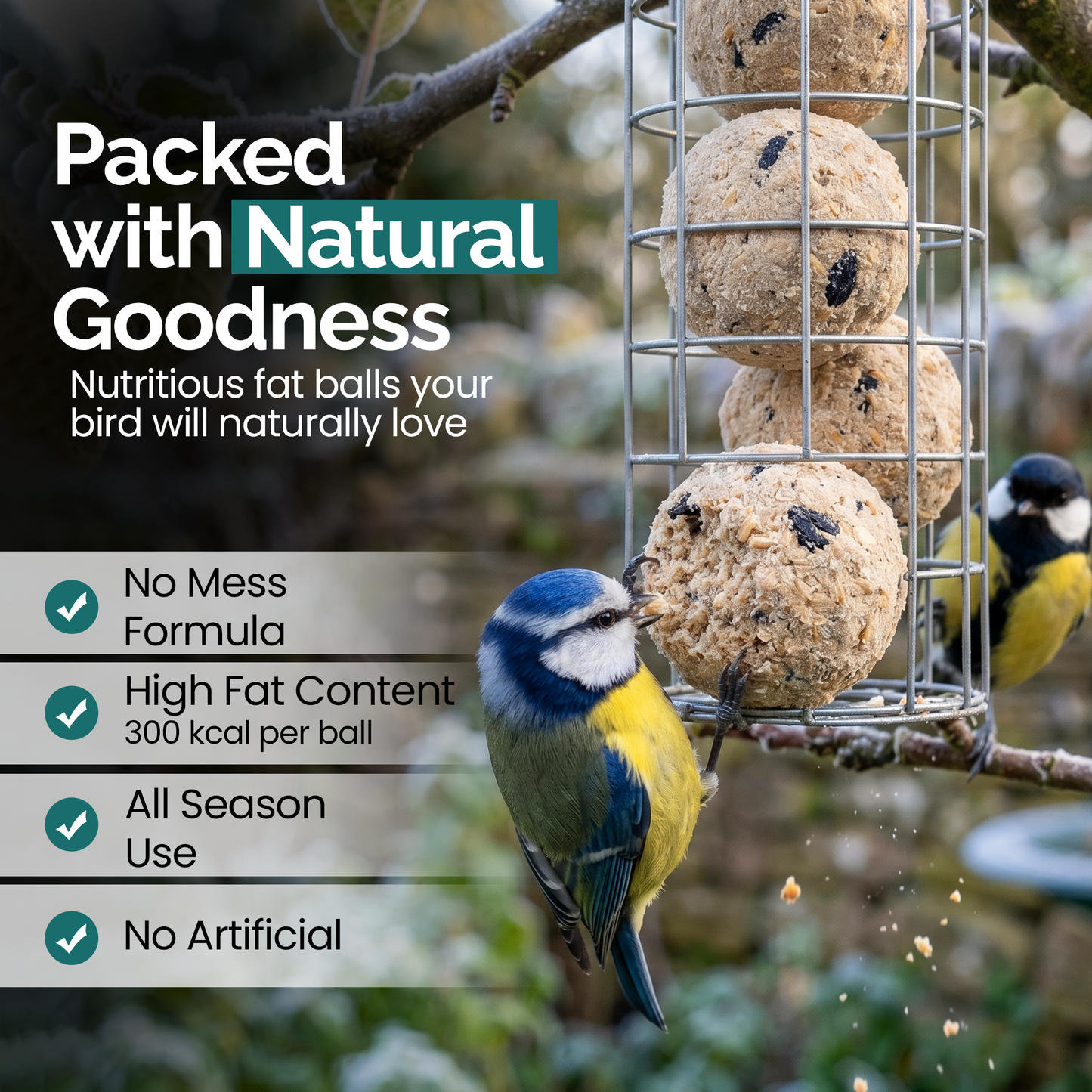 1KG Fat Balls for Wild Birds Food