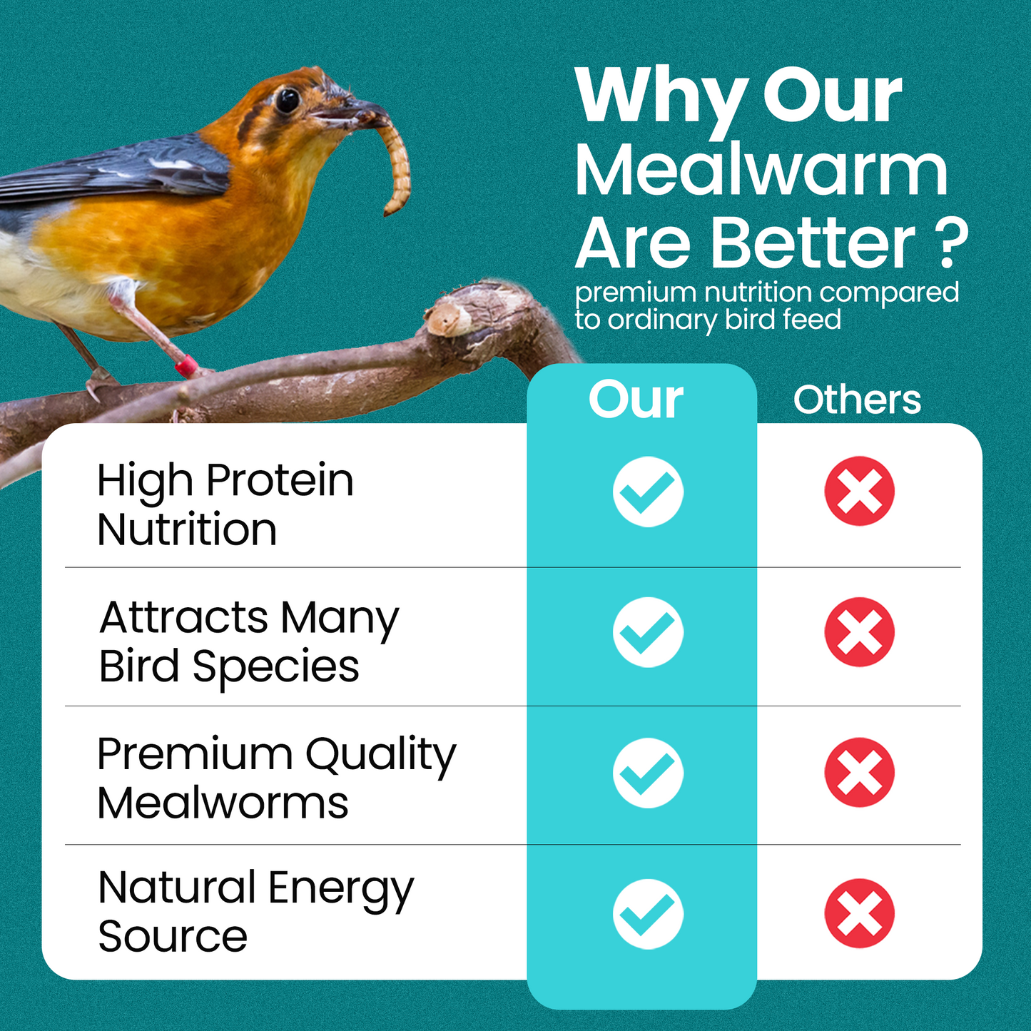 2KG BAG Direct Deals 123 High-Energy Meal Worms for Wild Birds