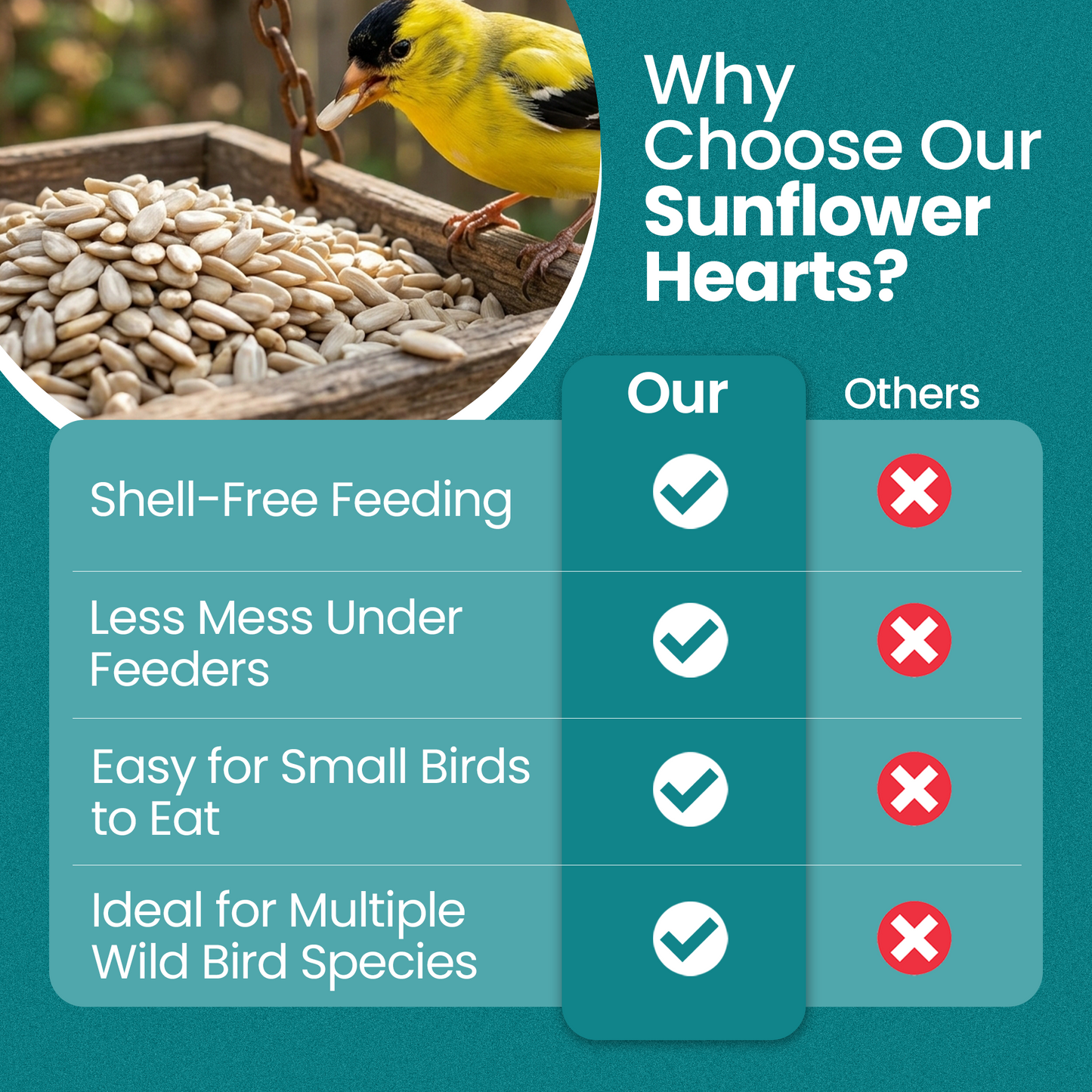 Direct Deals 123 High-Energy Sunflower Hearts for Wild Birds
