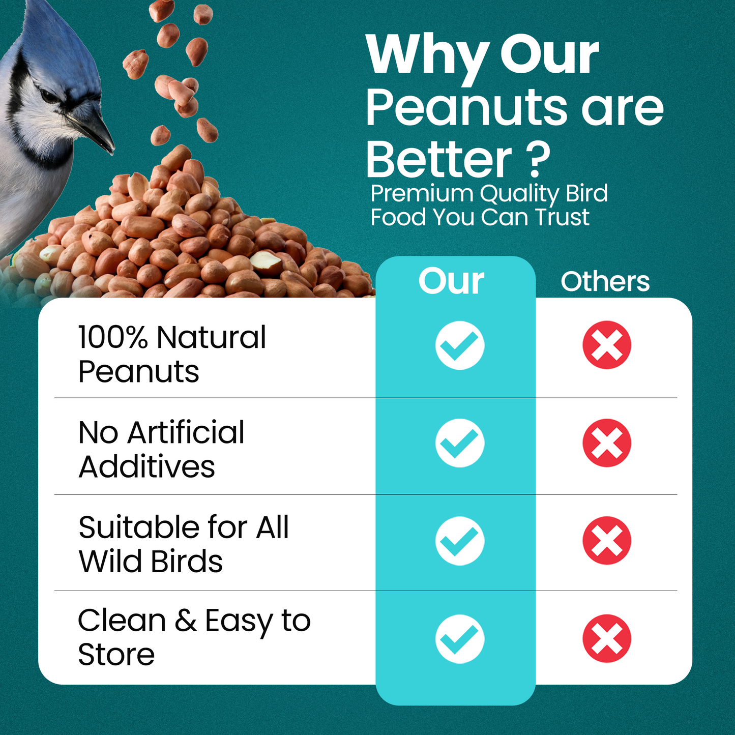 10KG BAG Direct Deals 123 High-Energy Peanuts Whole for Wild Birds