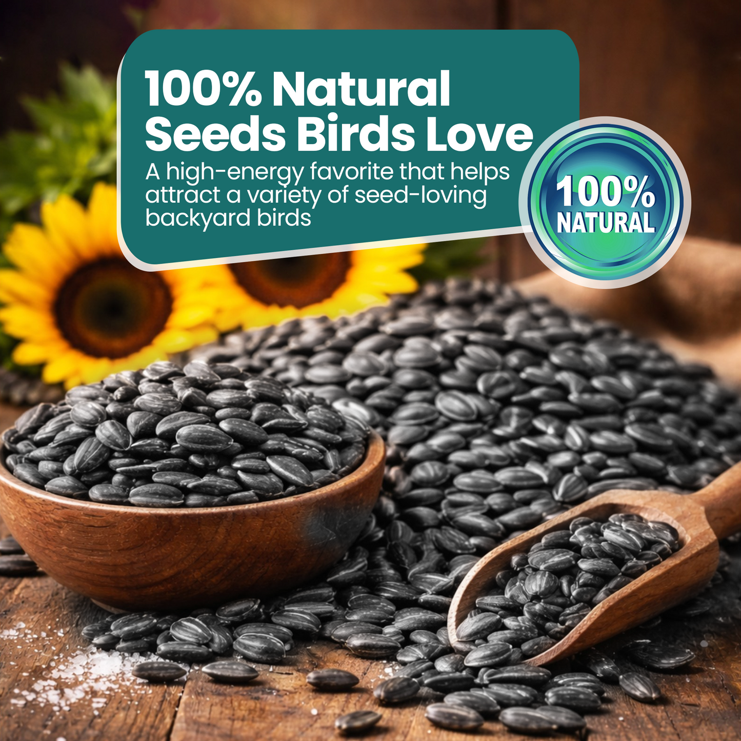 10KG BAG Direct Deals 123 High-Energy Black Sunflower Seeds for Wild Birds