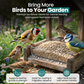 Direct Deals 123 High-Energy Sunflower Hearts for Wild Birds