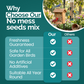 1KG BAG Direct Deals 123 High-Energy No Mess Mix Seeds for Wild Birds