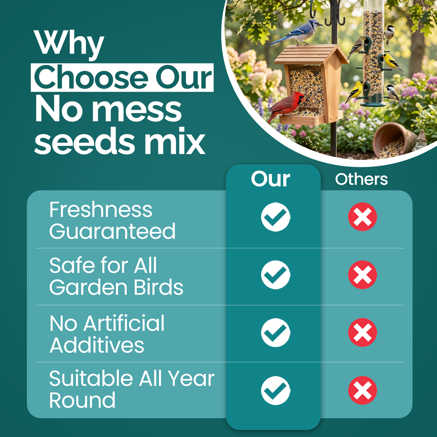 1KG BAG Direct Deals 123 High-Energy No Mess Mix Seeds for Wild Birds