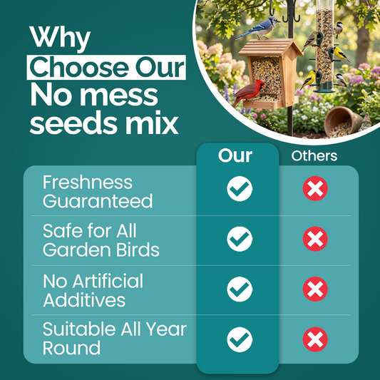 1KG BAG Direct Deals 123 High-Energy No Mess Mix Seeds for Wild Birds