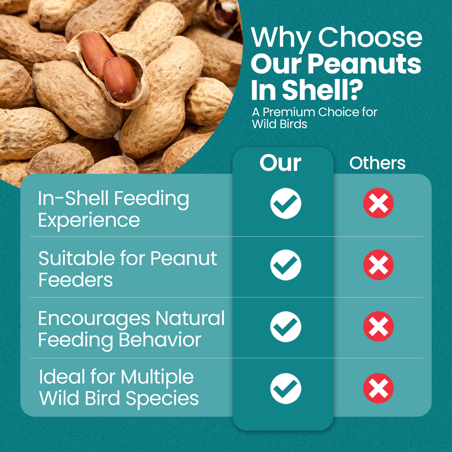 10KG BAG Direct Deals 123 High-Energy Peanuts In Shell For Wild Birds