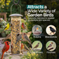 1KG BAG Direct Deals 123 High-Energy No Mess Mix Seeds for Wild Birds
