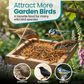 2KG BAG Direct Deals 123 High-Energy Meal Worms for Wild Birds