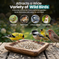 Direct Deals 123 High-Energy Sunflower Hearts for Wild Birds