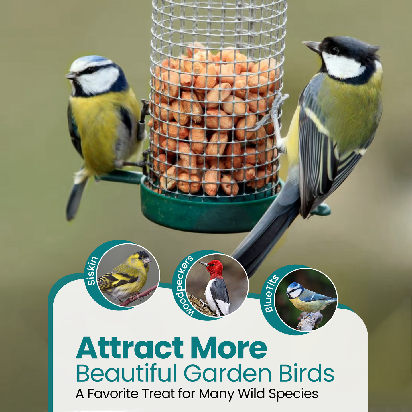 10KG BAG Direct Deals 123 High-Energy Peanuts Whole for Wild Birds