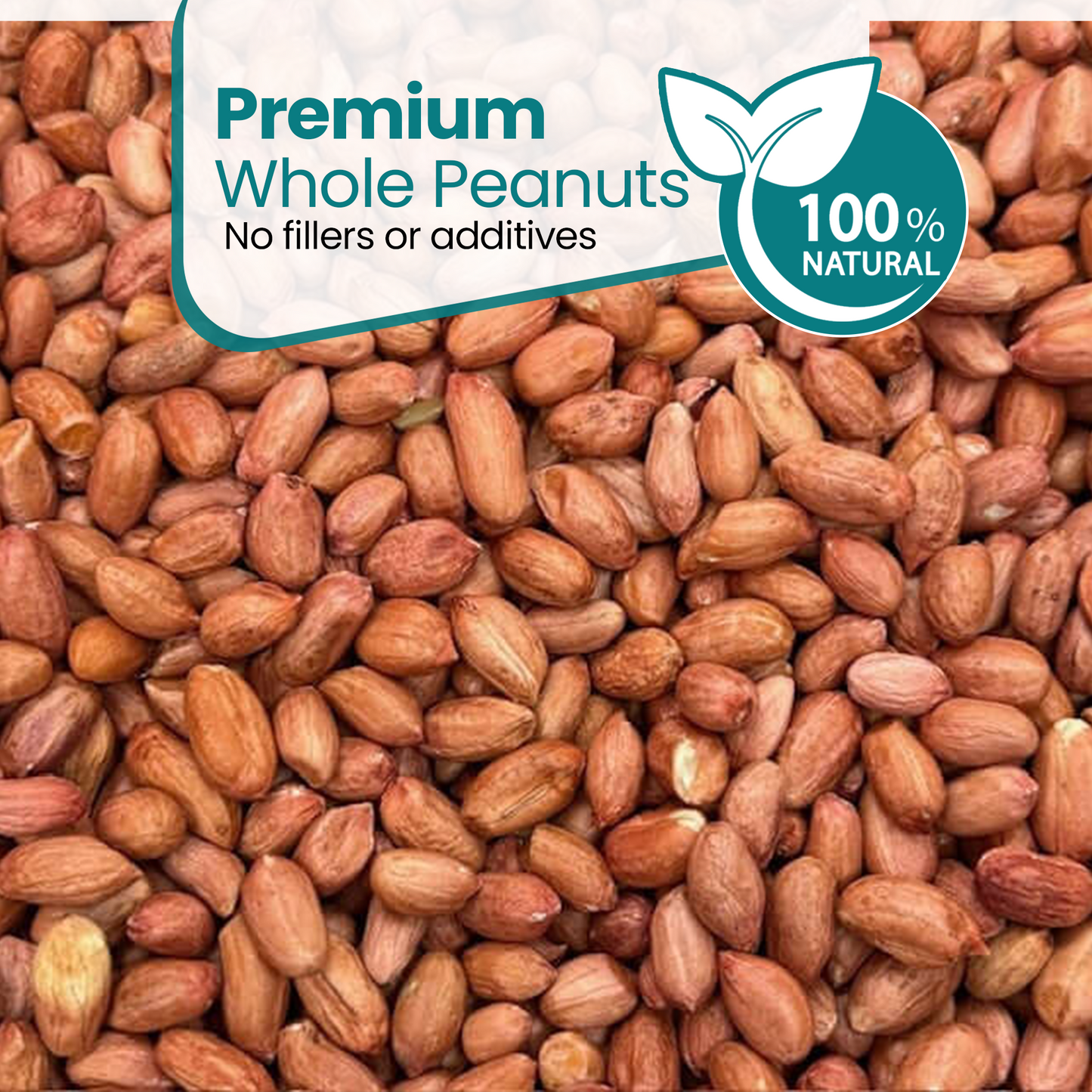 10KG BAG Direct Deals 123 High-Energy Peanuts Whole for Wild Birds