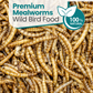 2KG BAG Direct Deals 123 High-Energy Meal Worms for Wild Birds