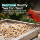 1KG BAG Direct Deals 123 High-Energy No Mess Mix Seeds for Wild Birds