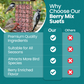 1L BAG High-Energy Berry Mix Suets for Wild Birds