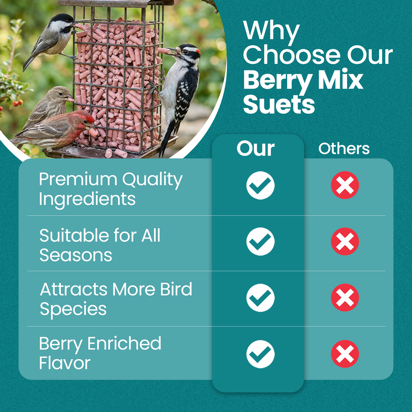 1L BAG High-Energy Berry Mix Suets for Wild Birds