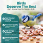 10KG BAG Direct Deals 123 High-Energy Peanuts Whole for Wild Birds