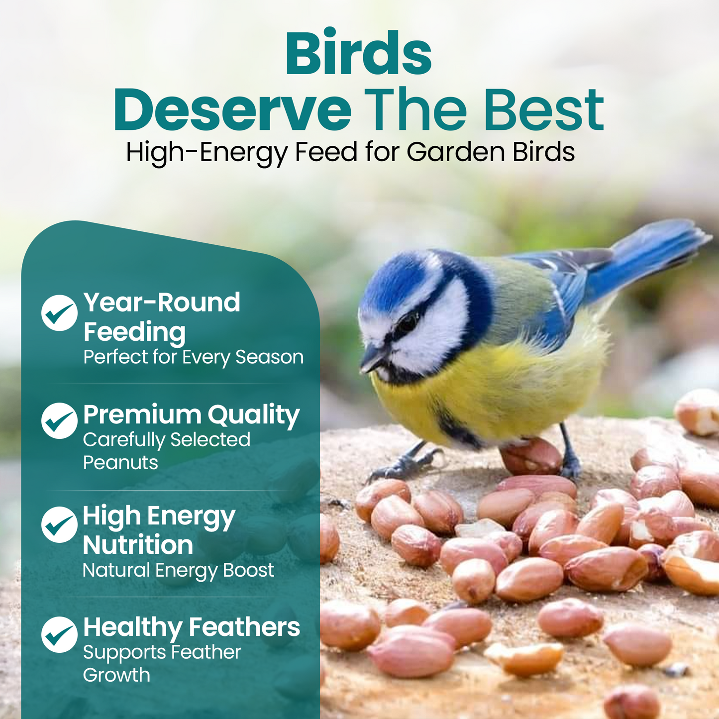 10KG BAG Direct Deals 123 High-Energy Peanuts Whole for Wild Birds