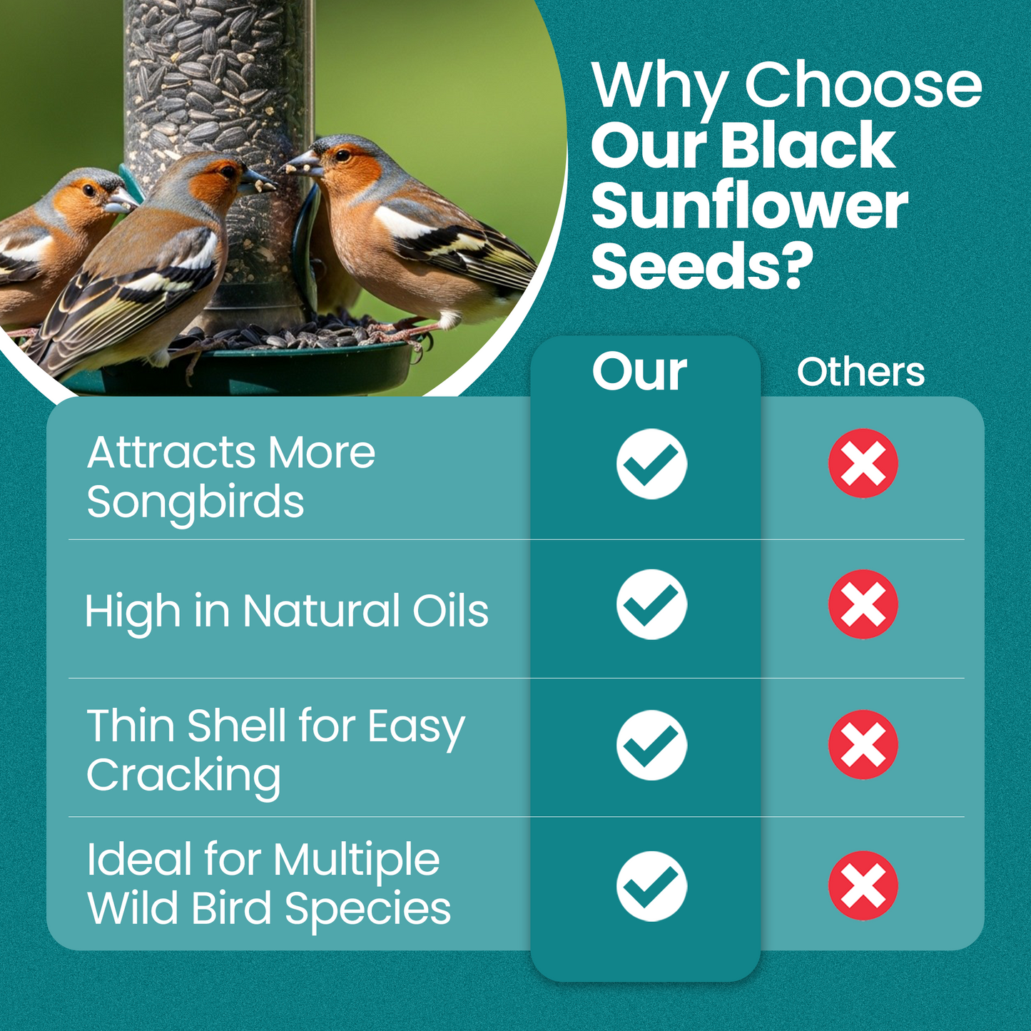 10KG BAG Direct Deals 123 High-Energy Black Sunflower Seeds for Wild Birds