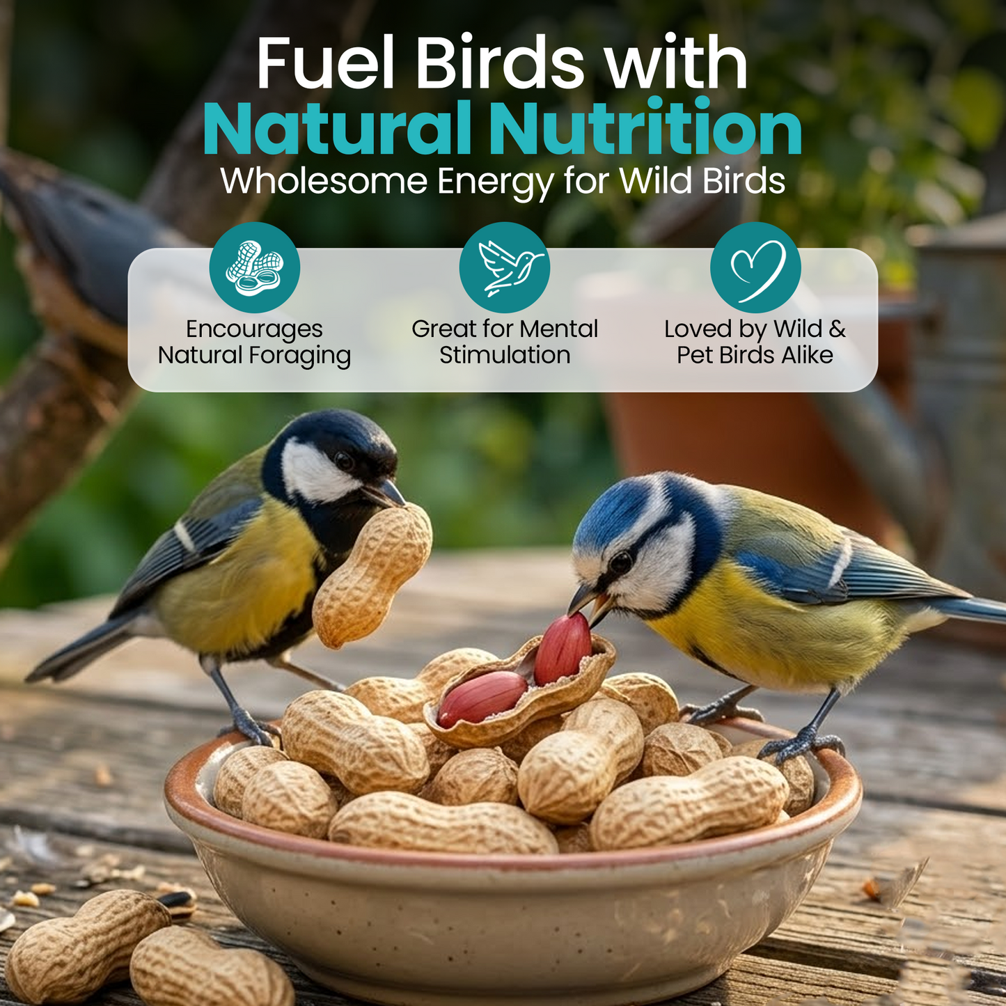 10KG BAG Direct Deals 123 High-Energy Peanuts In Shell For Wild Birds