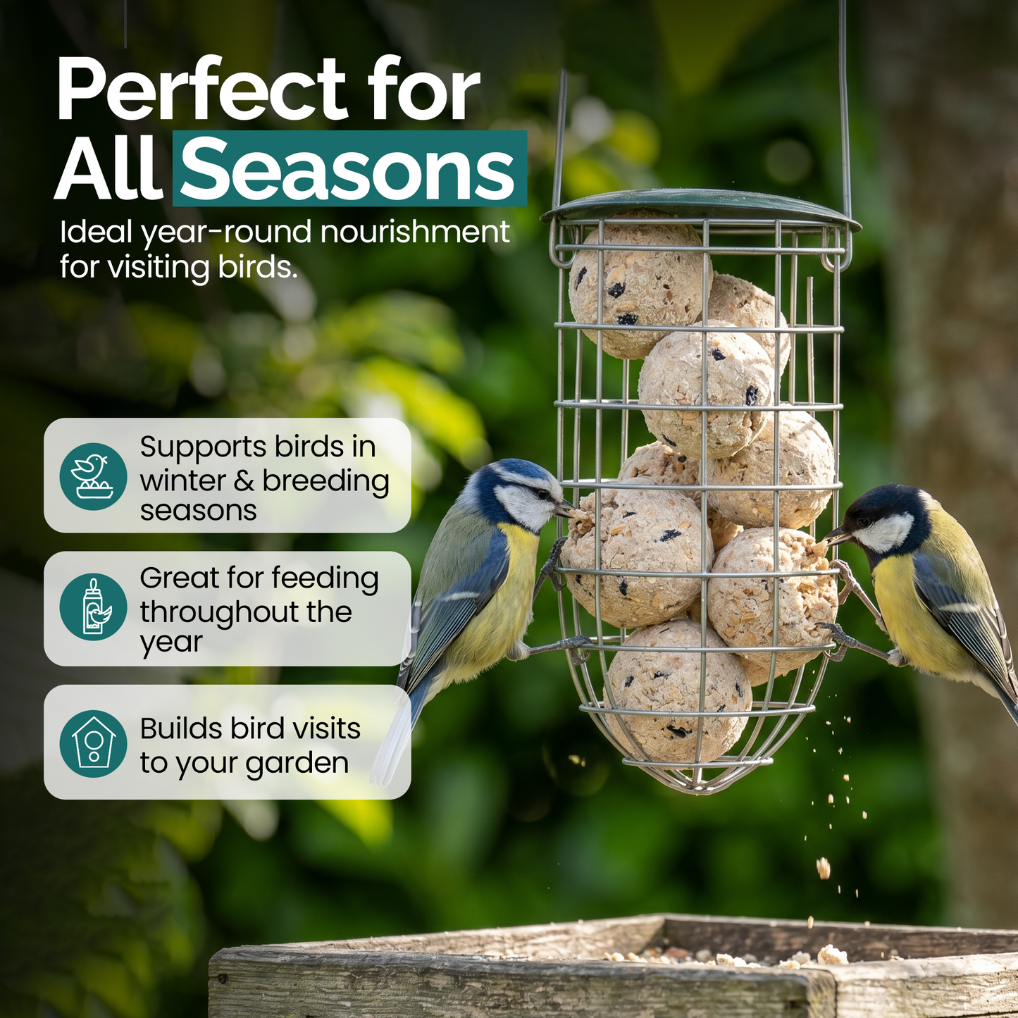 1KG Fat Balls for Wild Birds Food