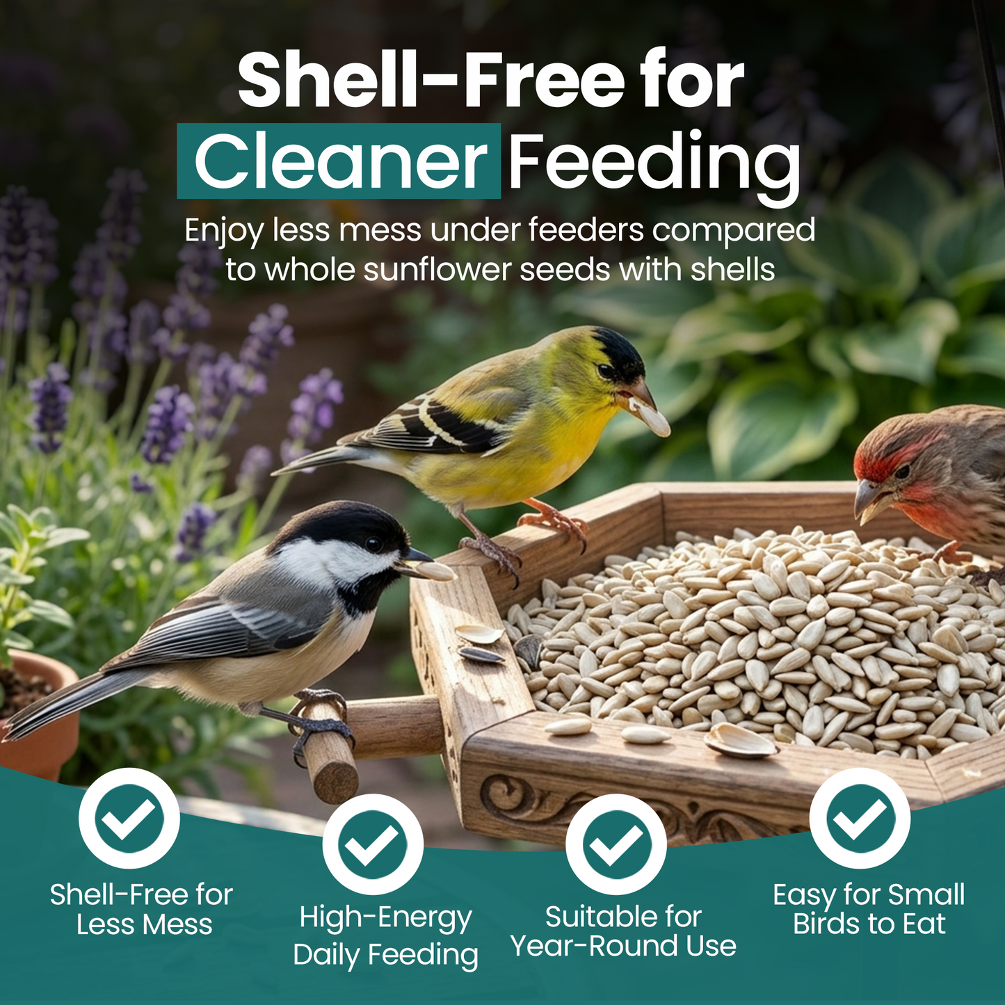 Direct Deals 123 High-Energy Sunflower Hearts for Wild Birds