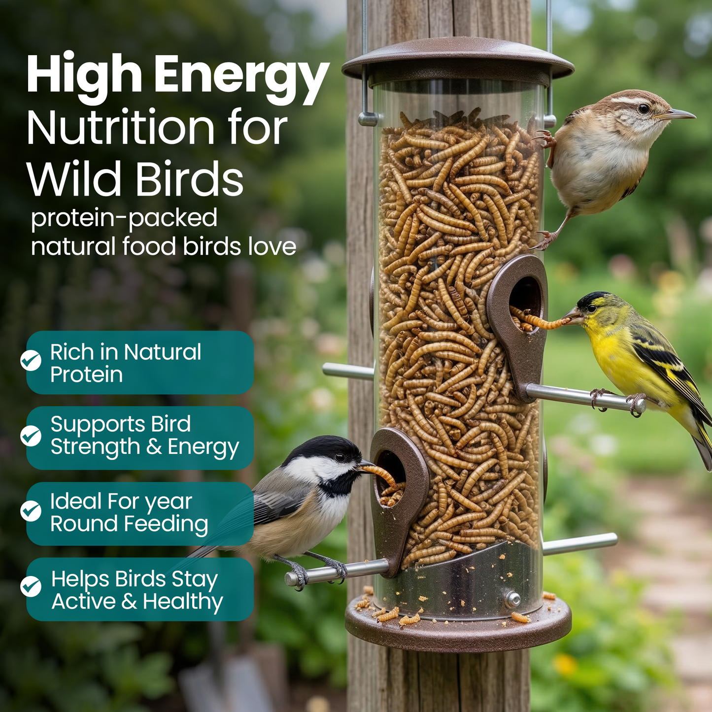 2KG BAG Direct Deals 123 High-Energy Meal Worms for Wild Birds