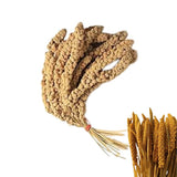 Direct Deals 123 High-Energy Millet Spray for Wild Birds