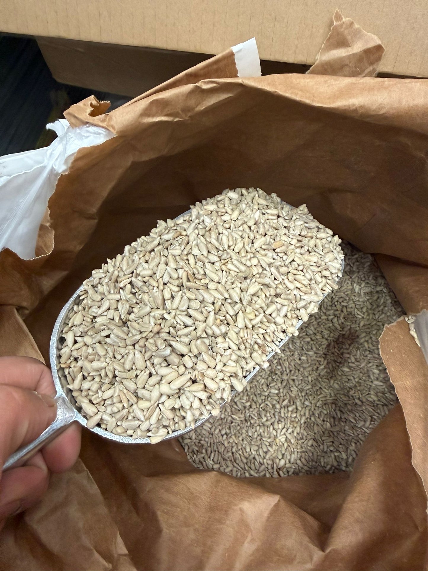 Direct Deals 123 High-Energy Sunflower Hearts for Wild Birds