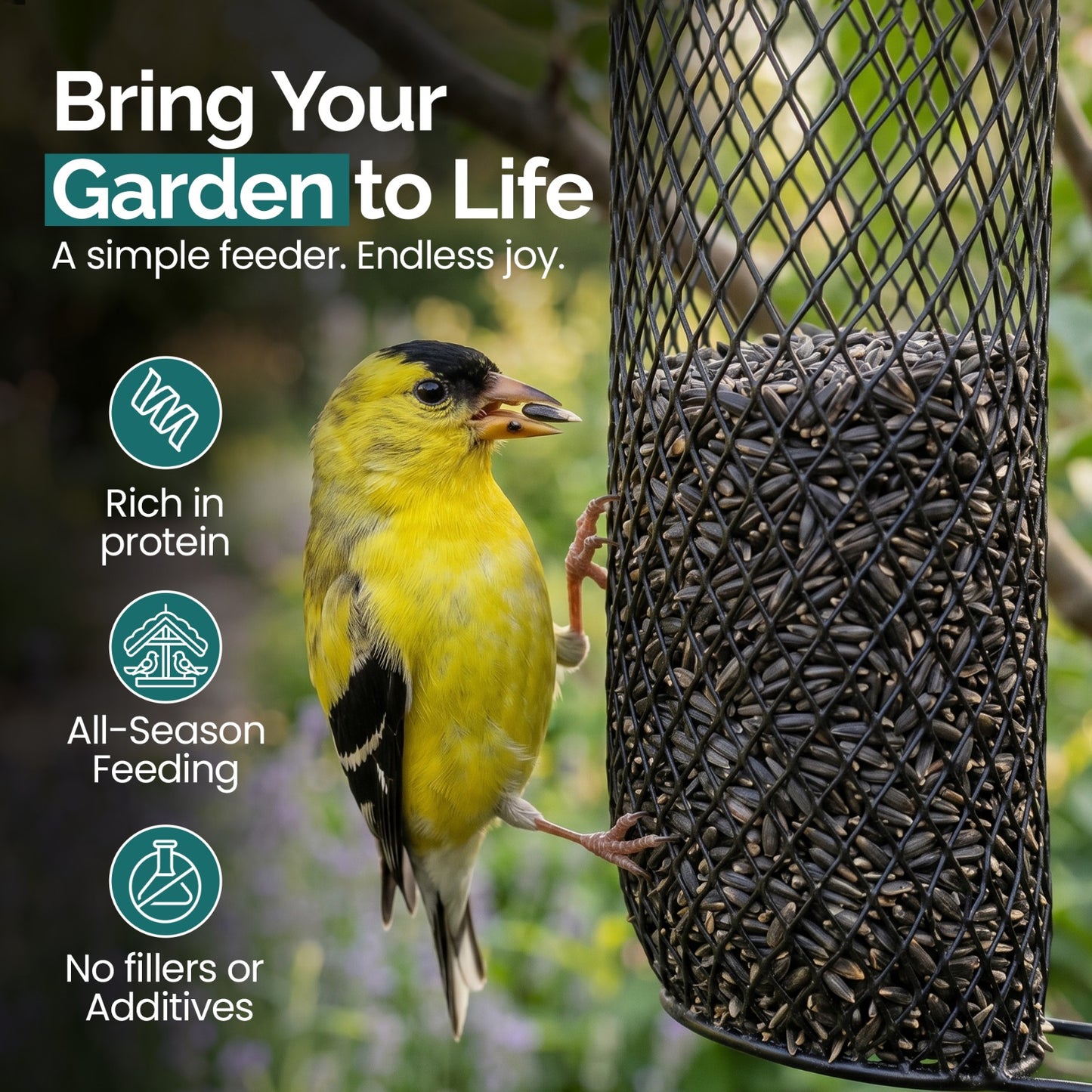10KG BAG Direct Deals 123 High-Energy Niger Seeds for Wild Birds