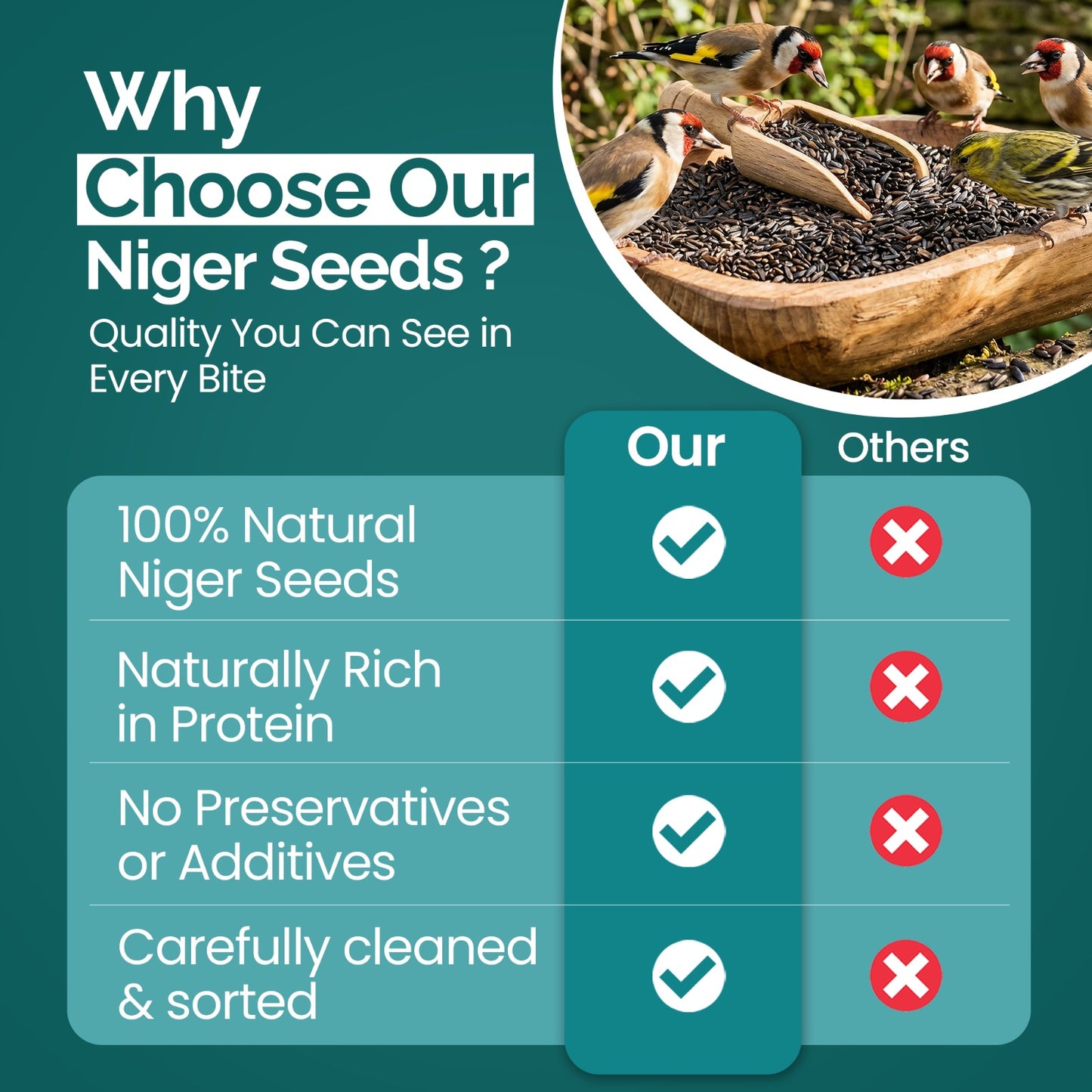 10KG BAG Direct Deals 123 High-Energy Niger Seeds for Wild Birds