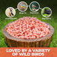 Direct Deals 123 High-Energy Berry Mix Suets for Wild Birds