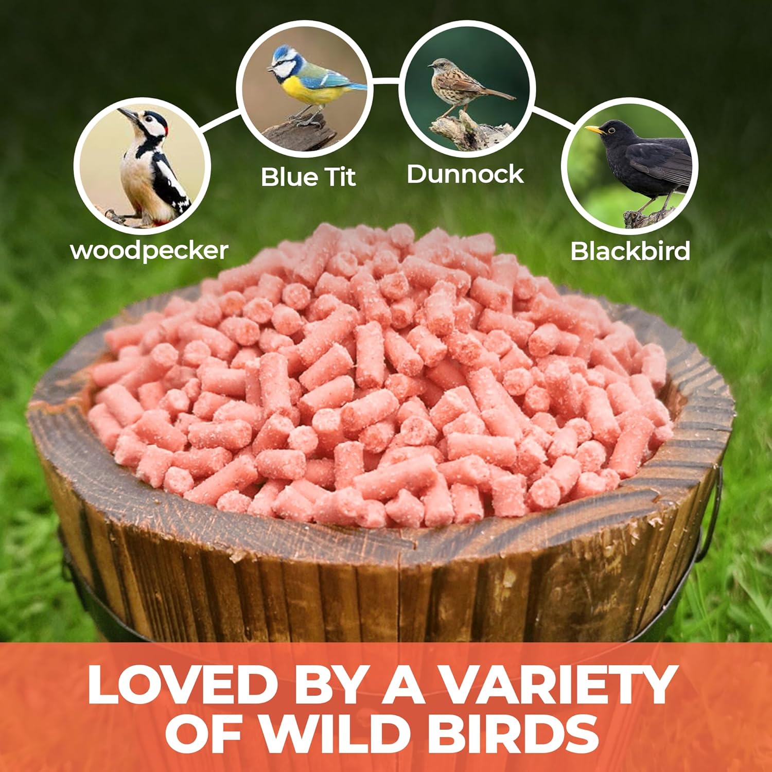 Direct Deals 123 High-Energy Berry Mix Suets for Wild Birds