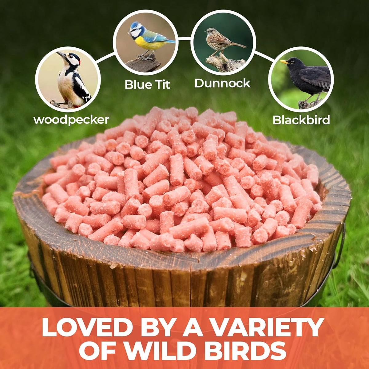 Direct Deals 123 High-Energy Berry Mix Suets for Wild Birds