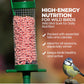 Direct Deals 123 High-Energy Berry Mix Suets for Wild Birds