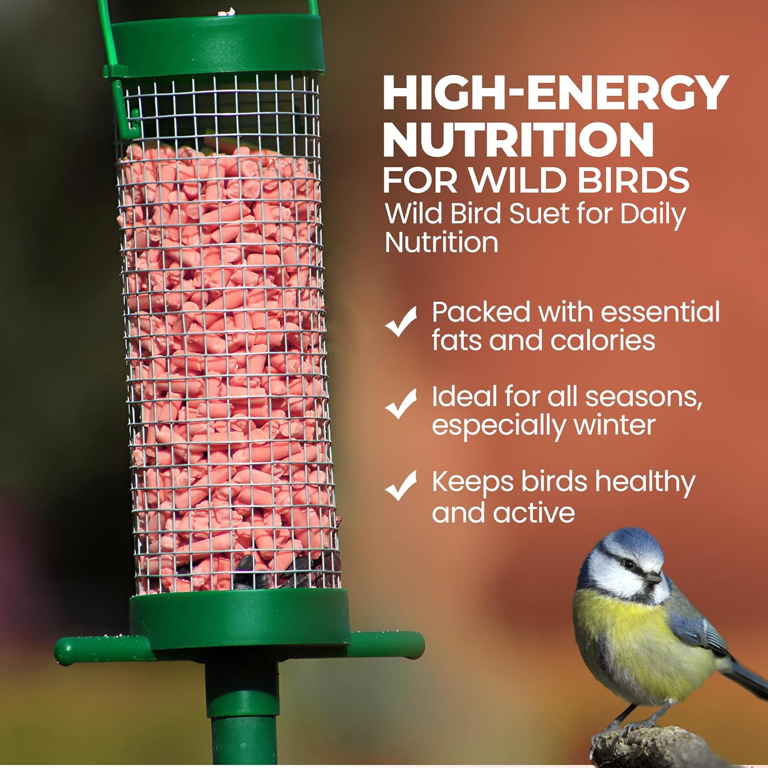 Direct Deals 123 High-Energy Berry Mix Suets for Wild Birds
