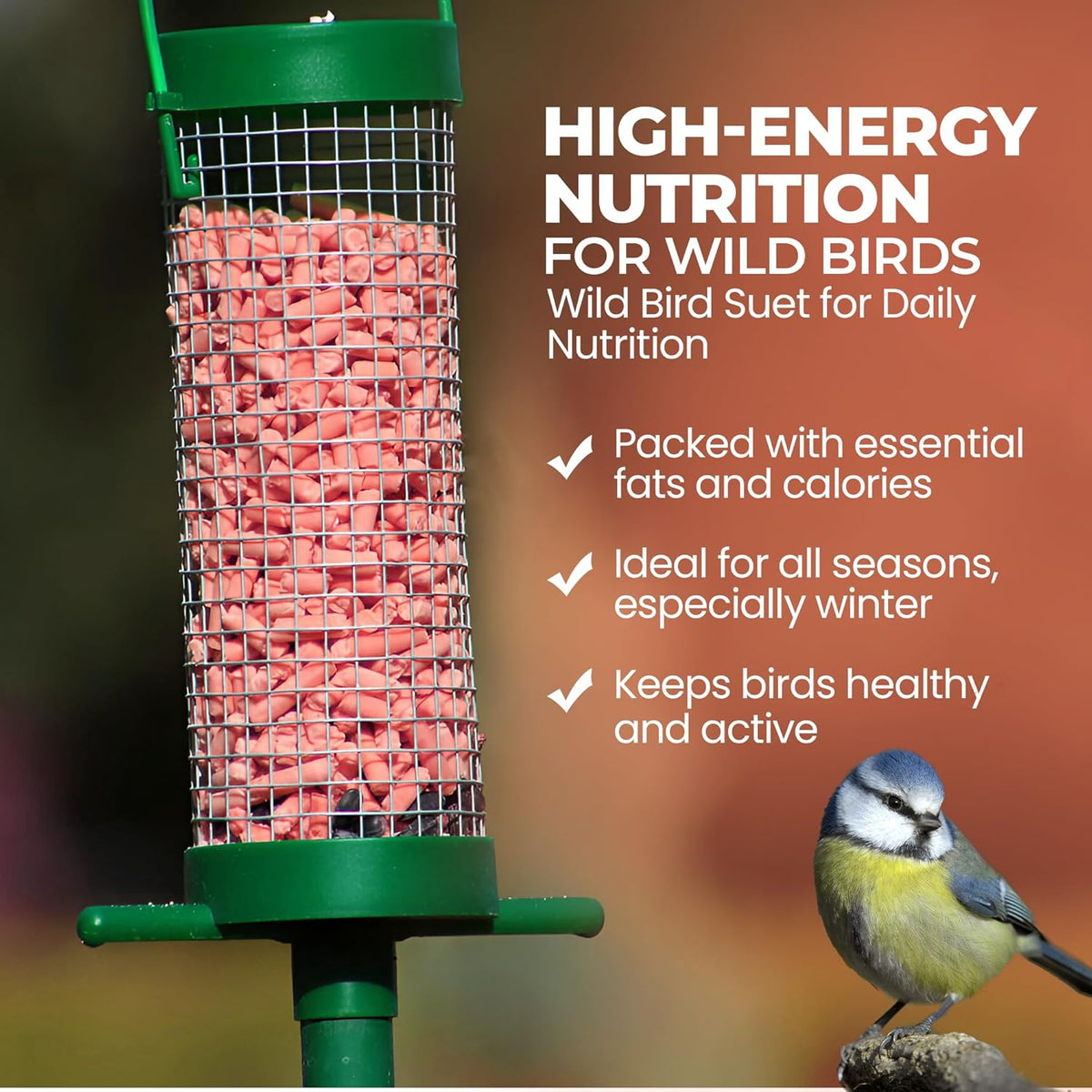 Direct Deals 123 High-Energy Berry Mix Suets for Wild Birds