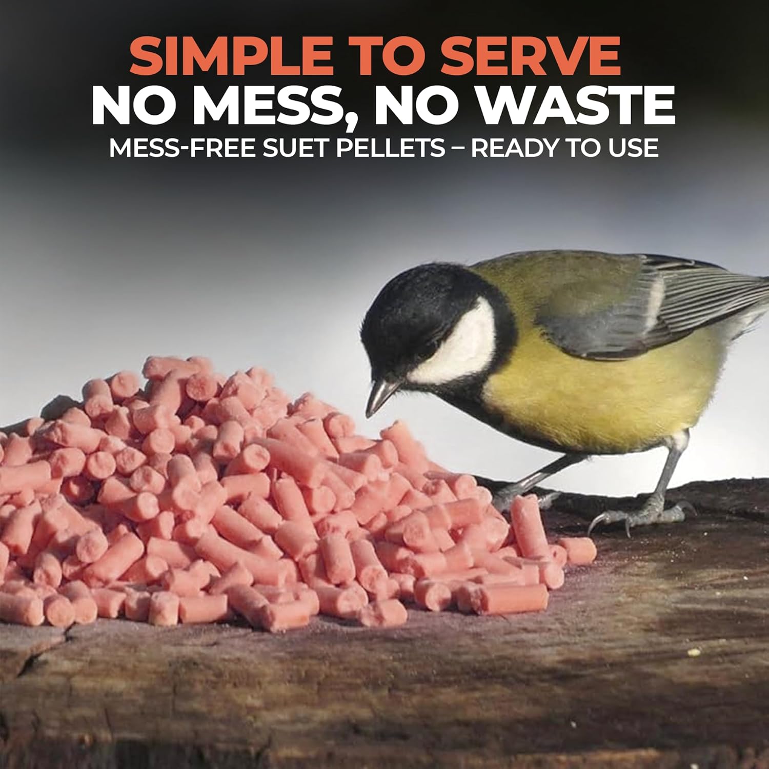 Direct Deals 123 High-Energy Berry Mix Suets for Wild Birds