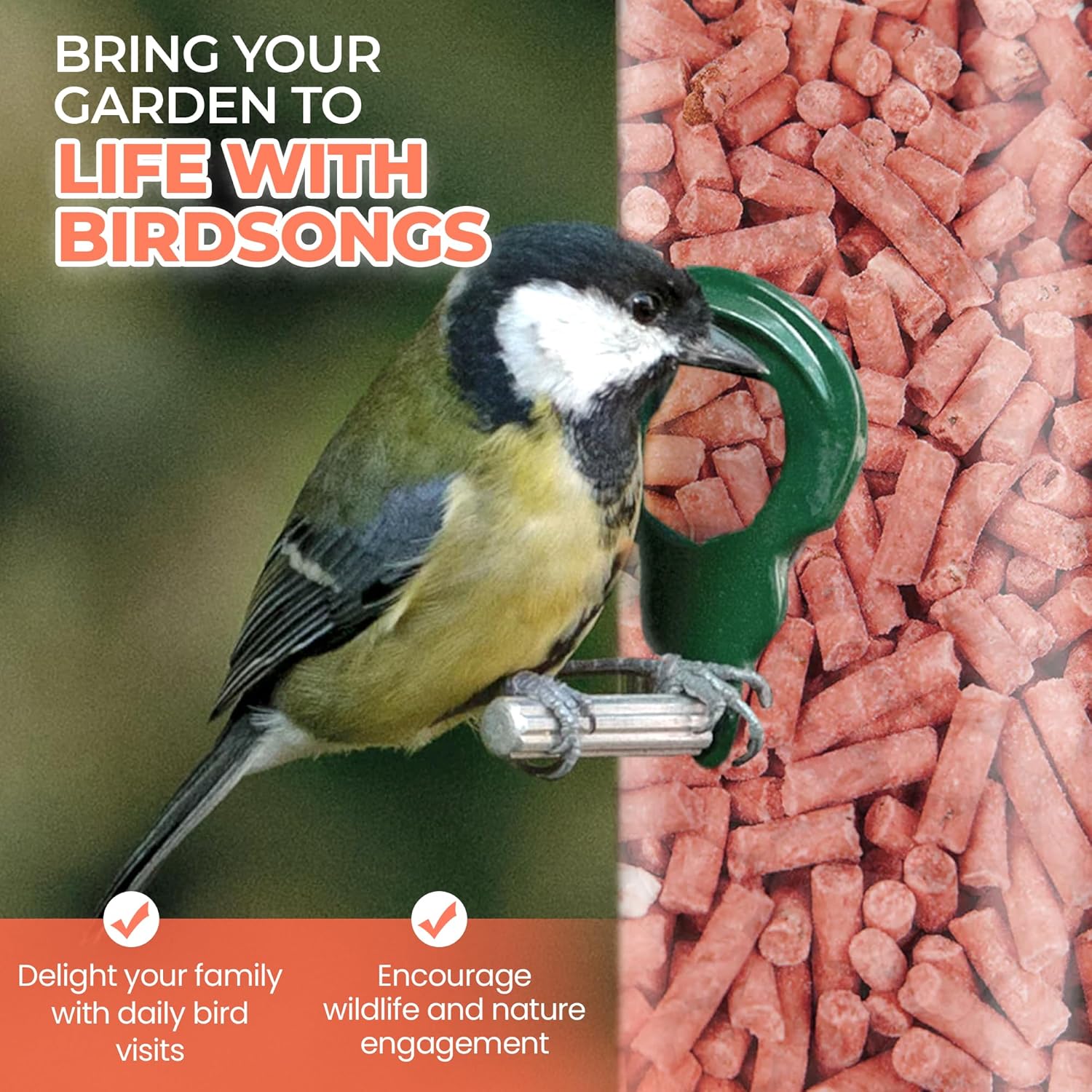 Direct Deals 123 High-Energy Berry Mix Suets for Wild Birds