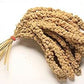 Direct Deals 123 High-Energy Millet Spray for Wild Birds